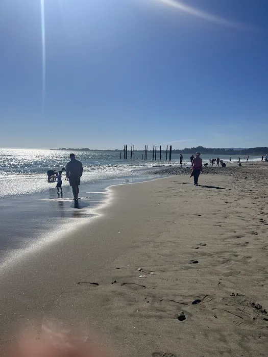 Seacliff Center RV Park Picture 6