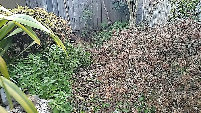 Blue Pacific Mobile Home Park Picture 3