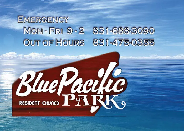 Blue Pacific Mobile Home Park Picture 10