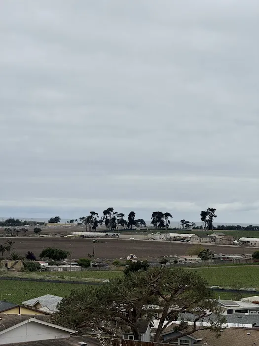 Moss Landing Park Picture 6