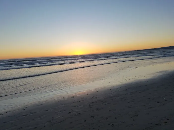 Moss Landing Park Picture 8