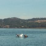 Moss Landing Park