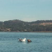 Moss Landing Park ico