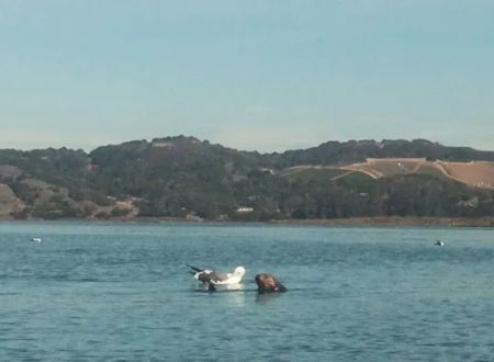 Moss Landing Park