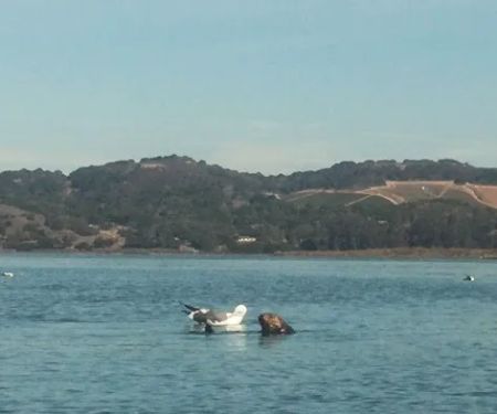 Moss Landing Park