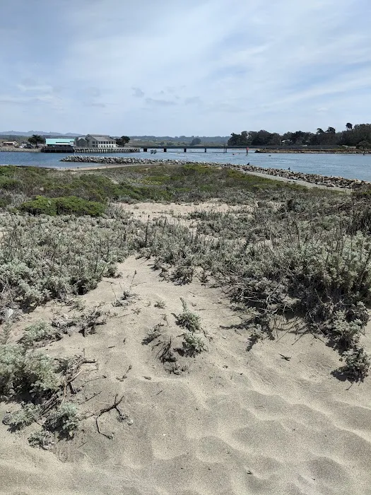 Moss Landing Park Picture 7