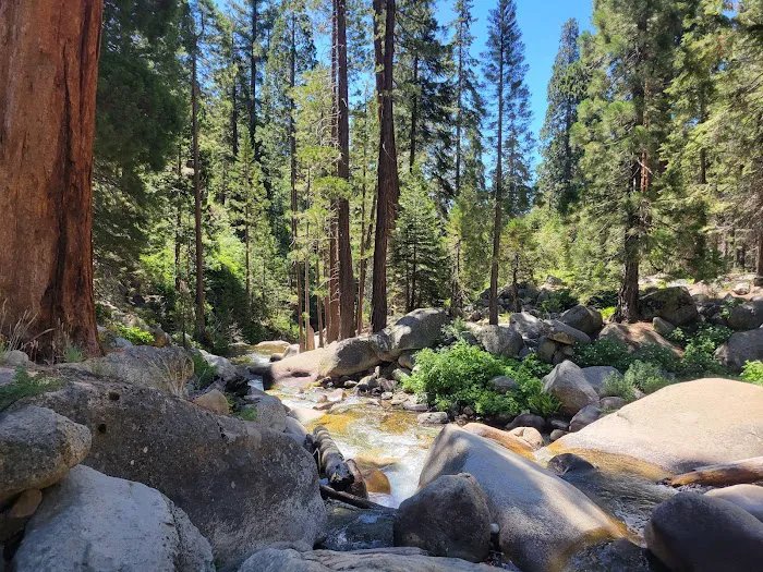 Hidden Falls Campground Picture 7
