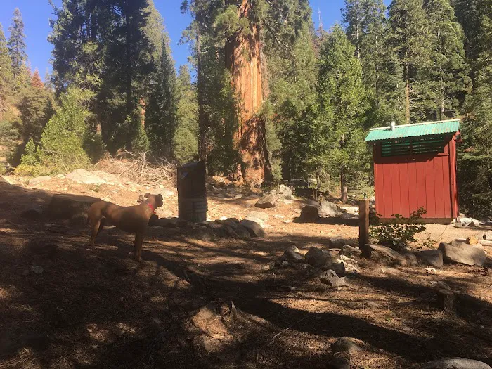 Hidden Falls Campground Picture 8