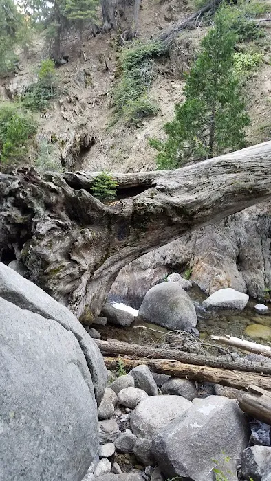 Hidden Falls Campground Picture 2