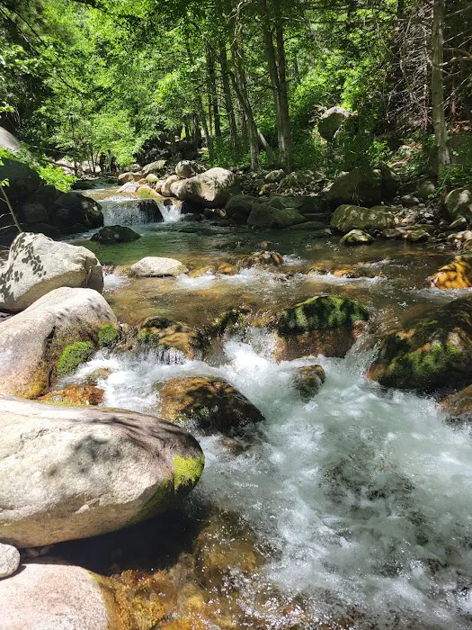 Hidden Falls Campground Picture 6