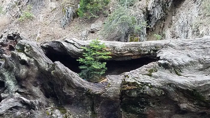 Hidden Falls Campground Picture 1