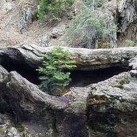 Hidden Falls Campground ico