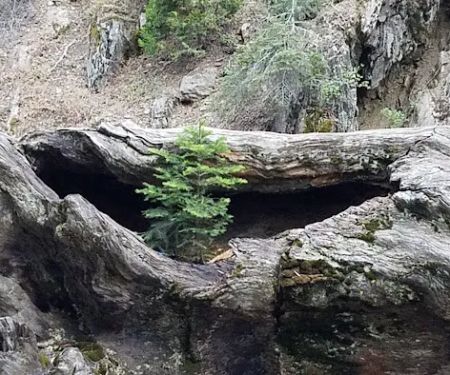 Hidden Falls Campground