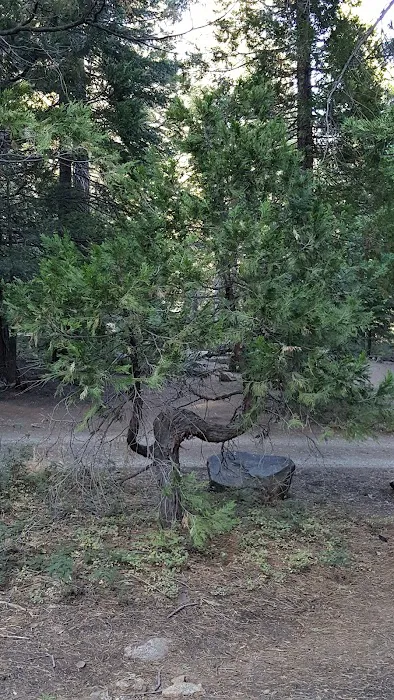 Shake Camp Campground Picture 1