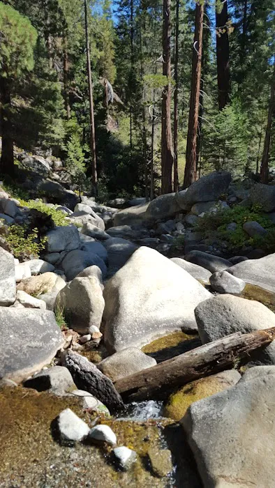 Moses Gulch Campground Picture 9