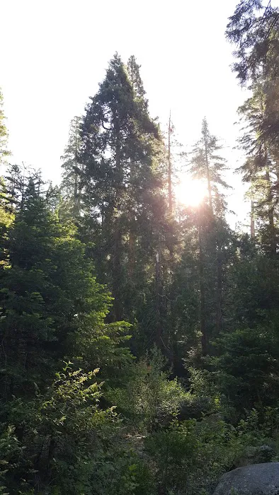 Moses Gulch Campground Picture 1