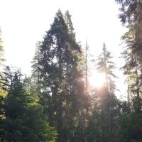 Moses Gulch Campground ico