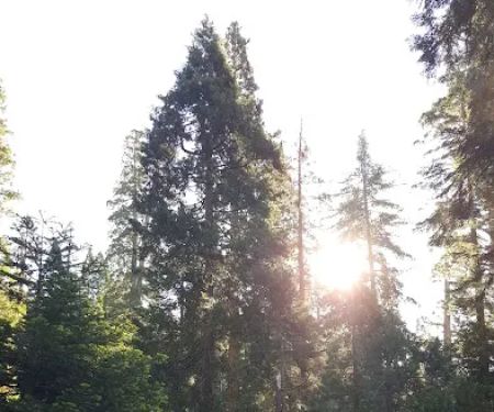 Moses Gulch Campground