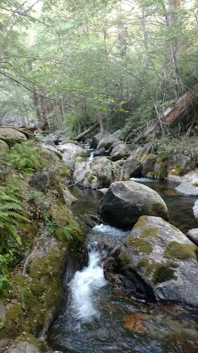 Moses Gulch Campground Picture 6