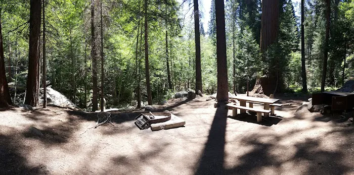 Moses Gulch Campground Picture 3
