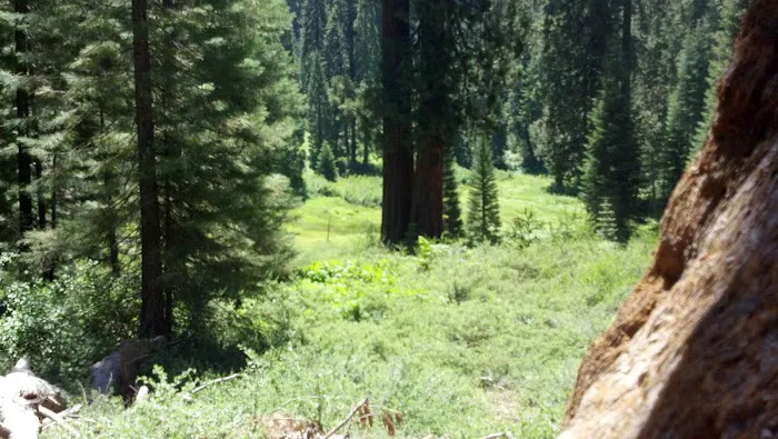 Fraiser mills camp ground Picture 1