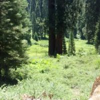 Fraiser mills camp ground ico