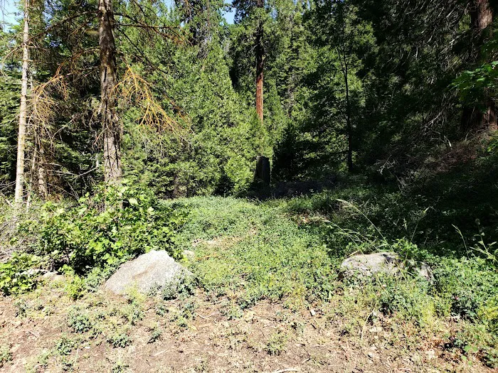 Hedrick Pond Campground Picture 10