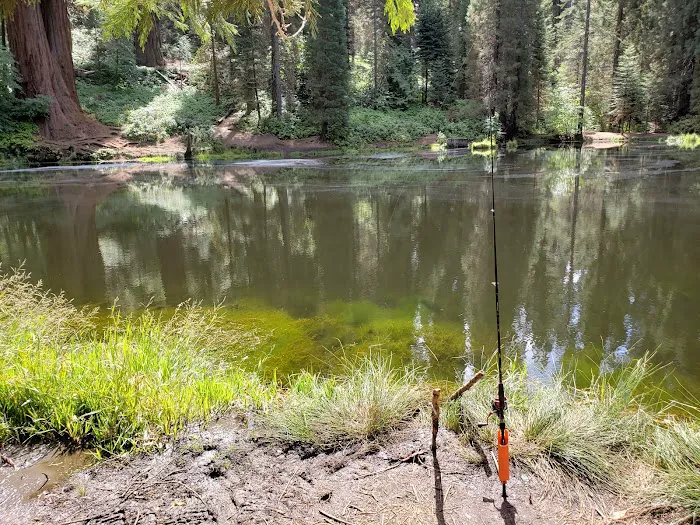 Hedrick Pond Campground Picture 3