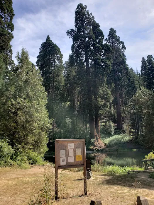 Hedrick Pond Campground Picture 2