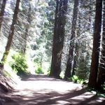 Hedrick Pond Campground