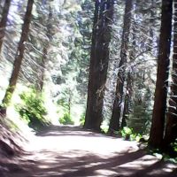 Hedrick Pond Campground ico
