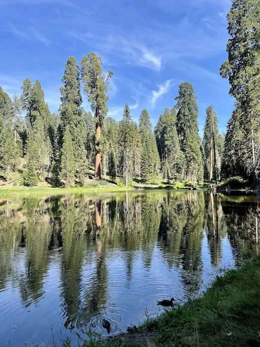 Balch Park Campground Picture 5