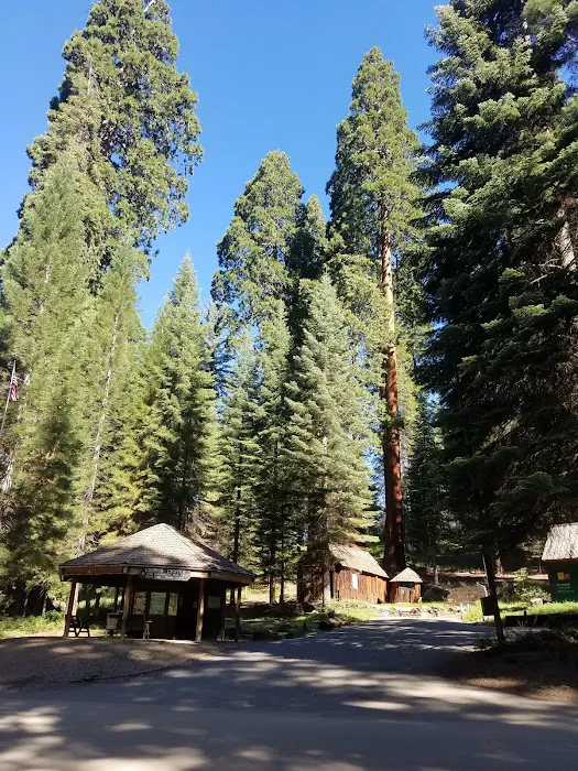 Balch Park Campground Picture 8
