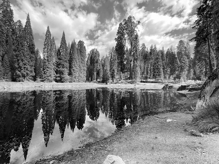 Balch Park Campground Picture 2