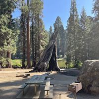 Balch Park Campground ico