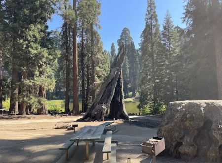 Balch Park Campground