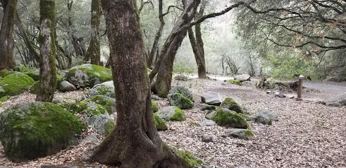 Wishon Campground Picture 8