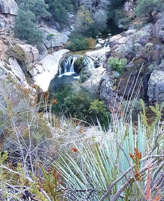 Wishon Campground Picture 3