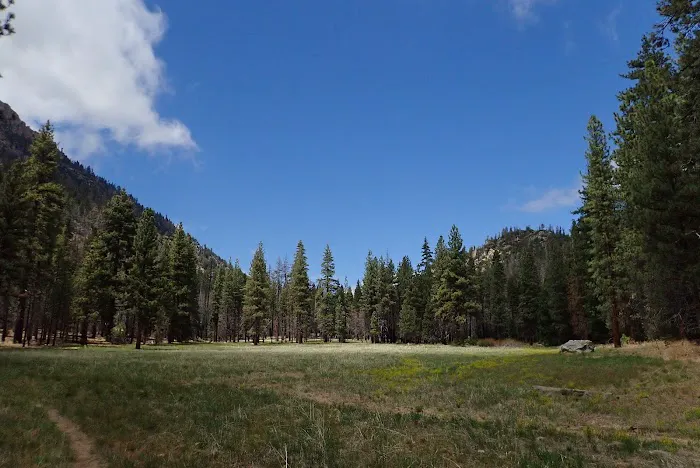 Willow Meadows Campground Picture 1