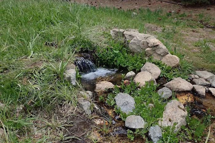 Willow Meadows Campground Picture 2