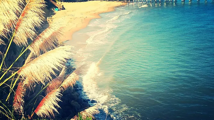 Surf & Sand Mobile Home Park Picture 4