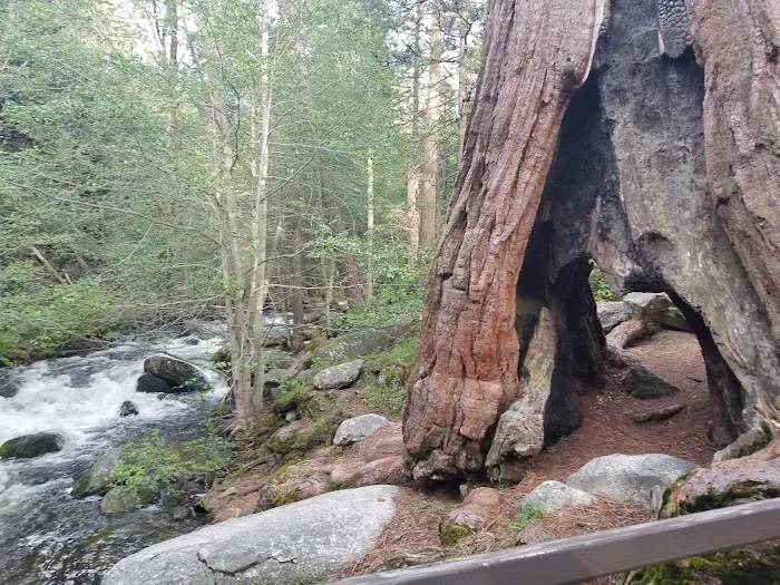 Belknap Campground Picture 9