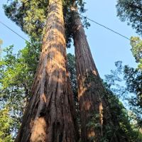 Belknap Campground ico