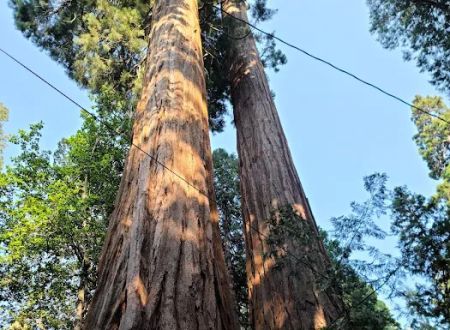 Belknap Campground
