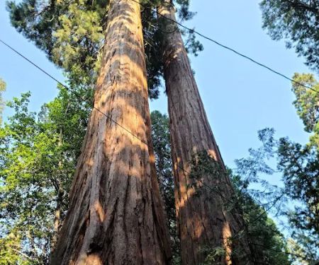 Belknap Campground