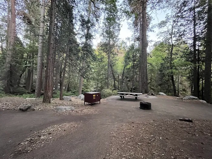 Belknap Campground Picture 8