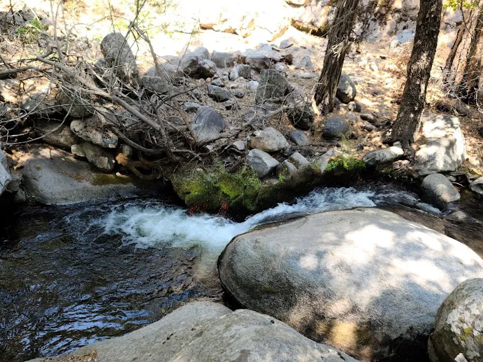 Belknap Campground Picture 2