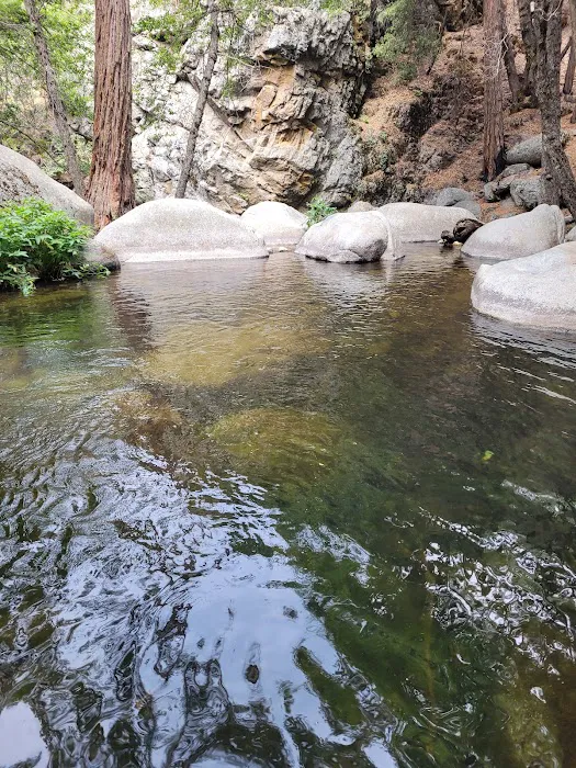Belknap Campground Picture 7