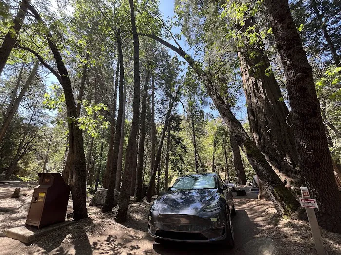 Belknap Campground Picture 6