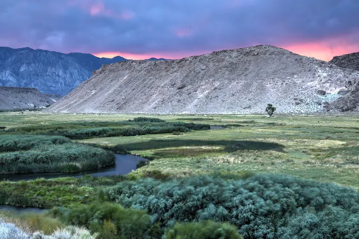 Pleasant Valley Owens River Campground Picture 3